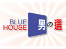 Blue House