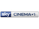 Sky Cinema +1