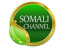 Somali Channel