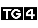 TG4 (Teilifís na Gaeilge)