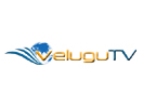 Velugu Television Network